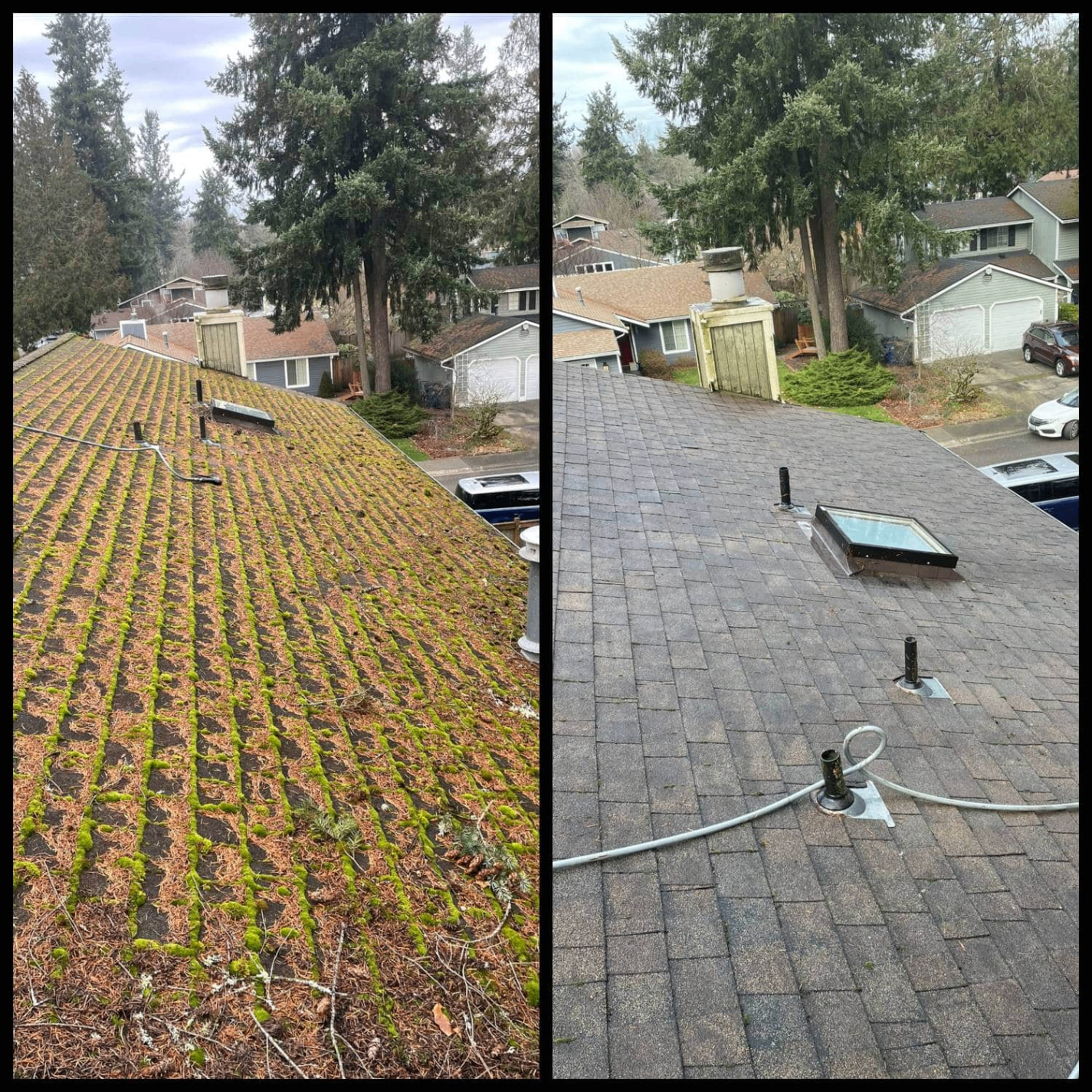 Roof cleaning by SPG Home Services in Everett, WA