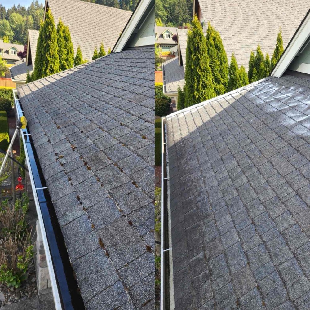 Roof cleaning by SPG Home Services in Everett, WA