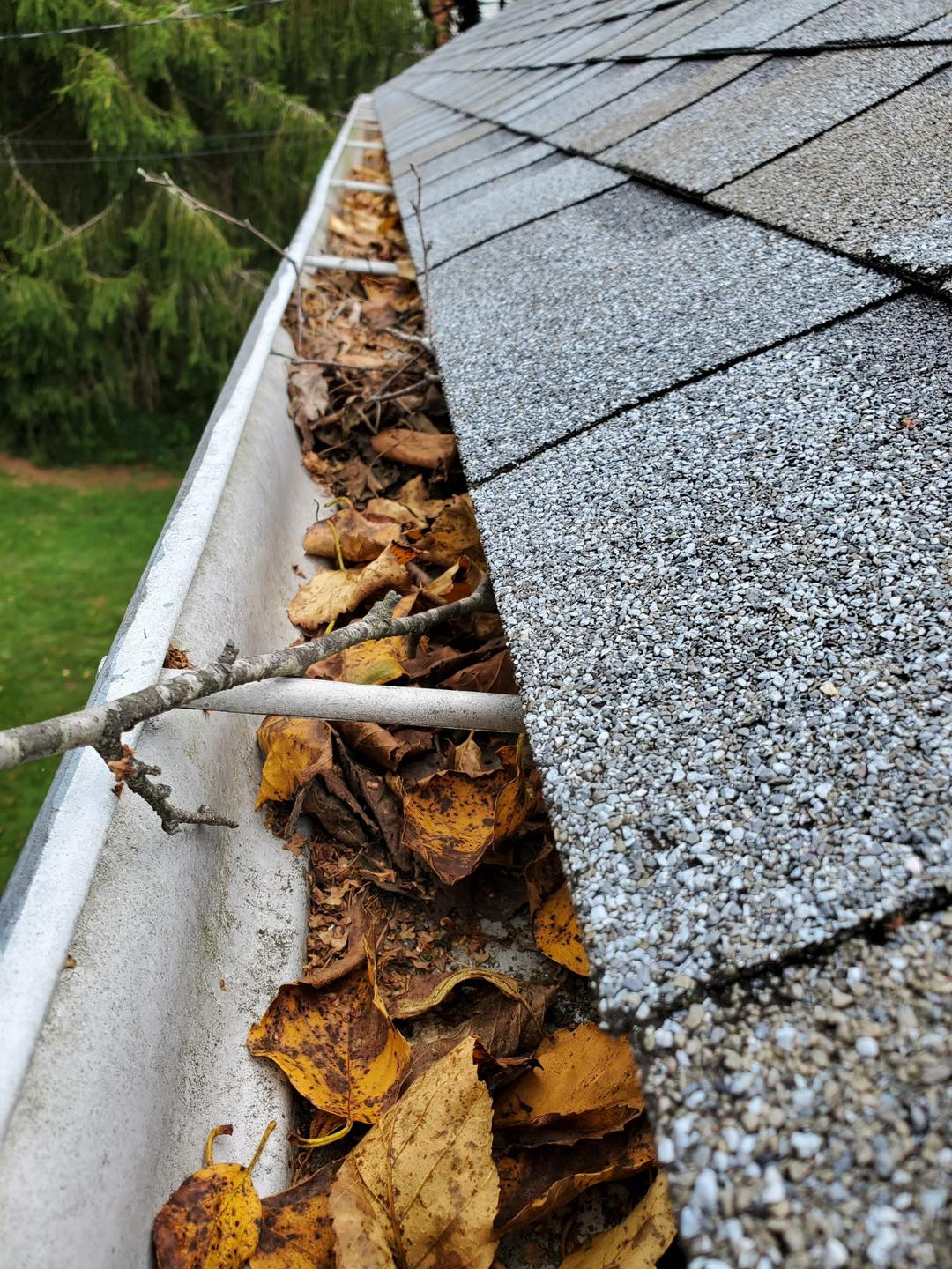 Gutter cleaning by SPG Home Services in Everett, WA